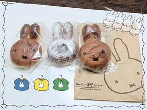 ステファニーコーム ミスシェブロン(限定品）レアホーン ブラック