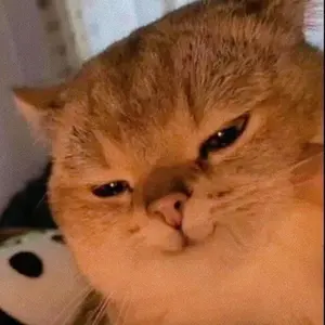 春