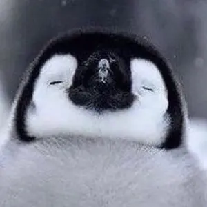 初期レア品】mellojoy ドバイチョコ＆10円パンセット - メルカリ