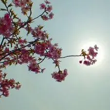 リヤドロ5292 恋の花が咲く（ジャンク品） リヤドロ5292 恋の花が咲く（ジャンク品） - メルカリ