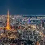 K.K 購入後基本即日発送