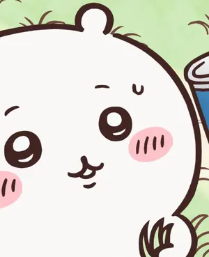 乃木坂46 5th/ 4th バスラ Blu-rayセット❗️明日まで値下げ