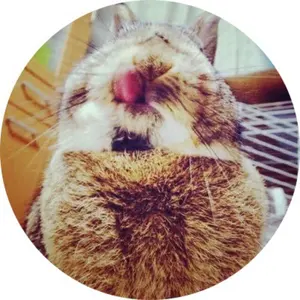 未開封] グラスハート TENBLANK Tシャツ XL ステッカー - メルカリ