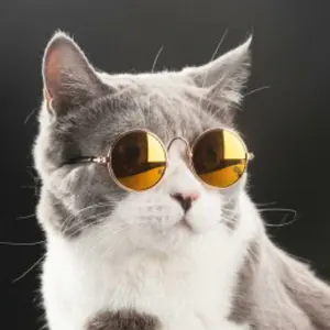 フォローで値引き☆3点購入で1点無料☆