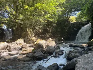 西塔ミコトちほうかっぷ博多 スリーブ3個セット ちほうかっぷ博多 西塔ミコト スリーブ 3個セット - メルカリ