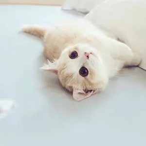 ここあ♡即購入OK♡