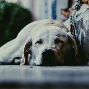 ✨新品✨AK＋1 by EFFE BEAMS ウール ラップコート 38 ✨新品✨AK＋1 by EFFE BEAMS ウール ラップコート 38 - メルカリ