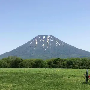 希少 非売品 JRA 夢の第11レース メジロマックイーン ゴールド馬券