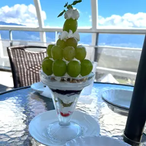 未使用】韓国版ORT ワークブック Stage34 6冊×6セット 36冊