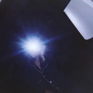 ユニゾンエアー 日向坂46 金村美玖　直筆サイン入りチェキ ユニエア ユニゾンエアー 日向坂46 金村美玖 直筆サイン入りチェキ 絵馬