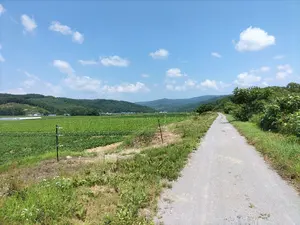 ⚡️パチスロ実機 押忍!サラリーマン番長 たのメル便発送 キャパシタ
