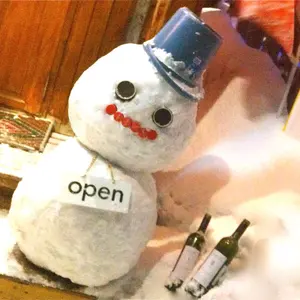 中古】bca トラッカーDTS アバランチビーコン 雪崩 バックカントリー
