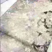 専用帯4108 3845 二点セット ●高級 正絹 六通 袋帯 蝶々 専用帯4108 3845 二点セット ○高級 正絹 六通 袋帯 蝶々 - メルカリ