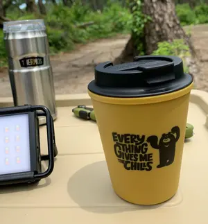 CAMPHORIC HOLICAT2個 DOKEEP GD2 ミニLED セット - メルカリ