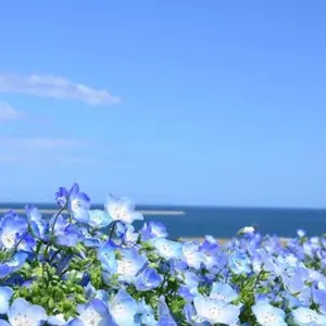 天外魔境zero 炎の勇者たち (角川文庫) / 広井王子&レッドカンパニー