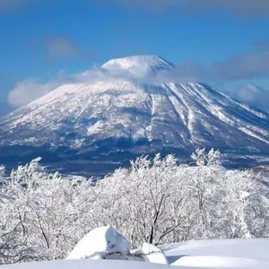 富士山 ❗️値下げ交渉はコメントください
