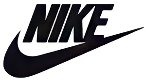 基本当日、もしくは翌日発送いたします