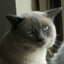 着物リメイク ギャザーワンピース ジャンパースカート 2WAY ゆったり