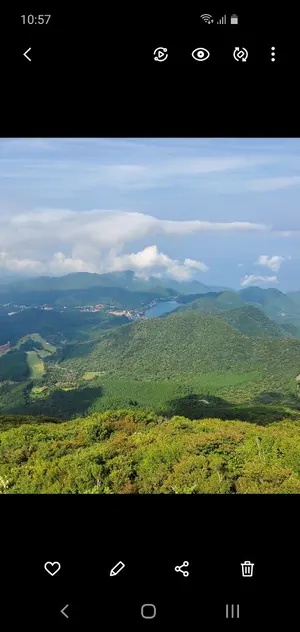 ごまふくん ★即購入大歓迎★
