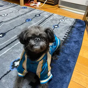 デジモンフロンティア　マグナガルルモン　ガレージキット　フィギュア　未使用品 デジモンフロンティア マグナガルルモン ガレージキット