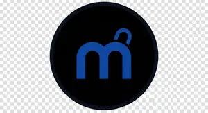 ミニ四駆 MSフレキ(鳥居残し) バンパーレス 段あげ2mm-3mm バネ付き