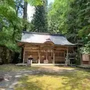 希少】ビーバーのラグマット カナダ産 毛皮 敷物 ビーバーのいる暮らし
