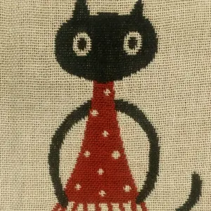 2PM ジュノ DVD＆写真集「Truly Madly Deeply」 - メルカリ