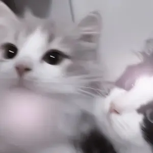 WIND BREAKER ウィンブレ ワイヤレスイヤホン ボウフウリンモデル