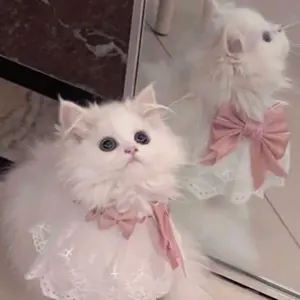 Treat Ürself トリートユアセルフ ワンピース リボン ペプラム