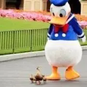 Puka-プロフご覧ください-