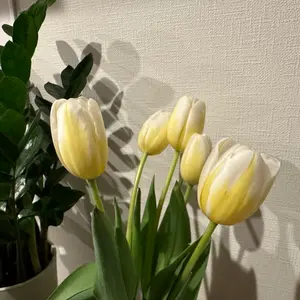 ナゴンスタンス アシンメトリー ドッキング プルオーバー 黒 - メルカリ