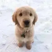 新品・タグ付】リラックマストア限定 アニバーサリーぬいぐるみ 東京駅