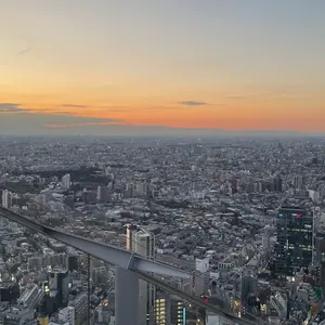 オルトモア 23年 海外免税店限定 - メルカリ