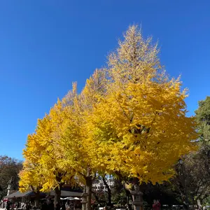 氷室京介 34th Birth of ANGEL ウォールクロック 新品未使用 - メルカリ