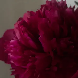 ま*✿様 litmus frangant lace bustier ま*✿様 litmus frangant lace bustier - メルカリ