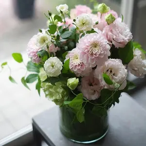 NODIA ノジア カラーリング＆サポートクリーム NODIAノジア｜ノンジアミンタイプのトリートメントカラー