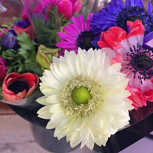 期間限定値下げ⭐︎超美品！ITTI 二つ折り財布 スカーフ イッチ - メルカリ