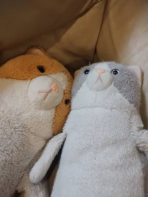 ポムポムプリン 甘かわデザインマスコット ごめんね むに〜 ぬいぐるみ