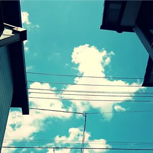 ハイキュー‼ 横断幕 セブンネット限定スクエア缶バッジ 色紙 DayOff ハイキュー‼ 横断幕 セブンネット限定スクエア缶バッジ 色紙