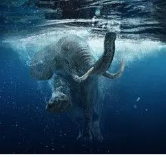 佐渡産 山形石 赤玉石 水石 鑑賞石 原石 自然石 美石 台座付 6117g