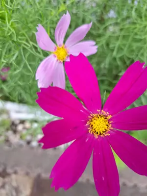 Ｍ@購入前に紹介文を確認ください。