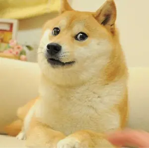 ベトナム 2ドン 切手シート ホーチミンベトナム切手 竹紙 加刷 レア