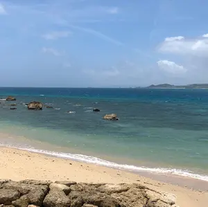 ロットングラフティー 東寺tシャツ　黄色