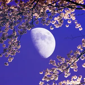 値下げ‼️ ハイパーナイフ 家庭用 コンパクト 顔、体用 新品未