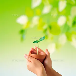 【親株】LIZE血統　流星　子株6つ付きタイムセール 親株】LIZE血統 流星 子株6つ付き Yahoo!オークション - Lize