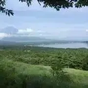 クローバー　プロフ必読