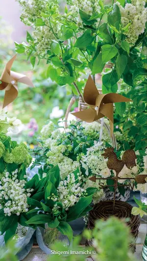 忘却バッテリー 全巻セット - メルカリ