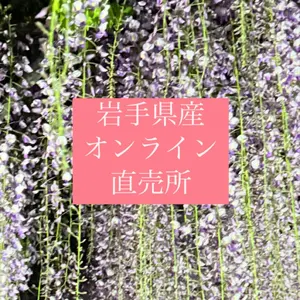 本日限り特価！岩手県産　天然葉わさび苗 100本 根付き 本日限り特価！岩手県産 天然葉わさび苗 100本 根付き 楽天市場】葉
