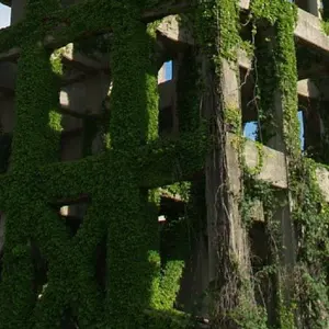 石川由依さん 直筆サイン色紙 (おねがい社長！ 文月渚 声優) - メルカリ