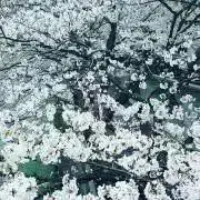 あむ☆プロフご一読ください